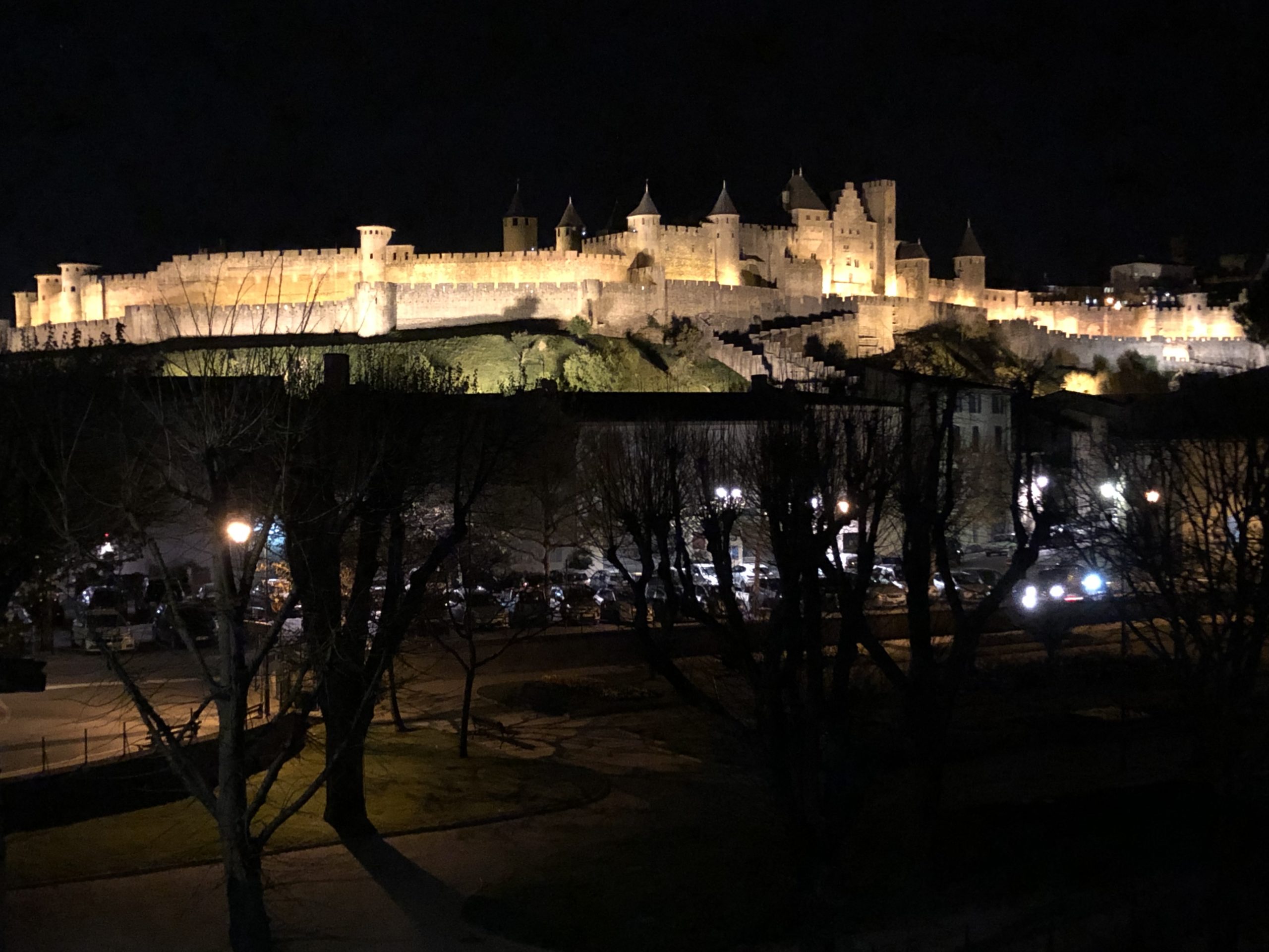 Carcassonne medieval walled city night view from Pont Vieux